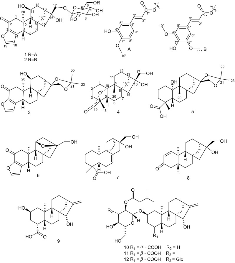 Fig. 1