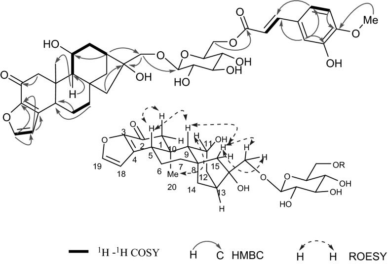 Fig. 2