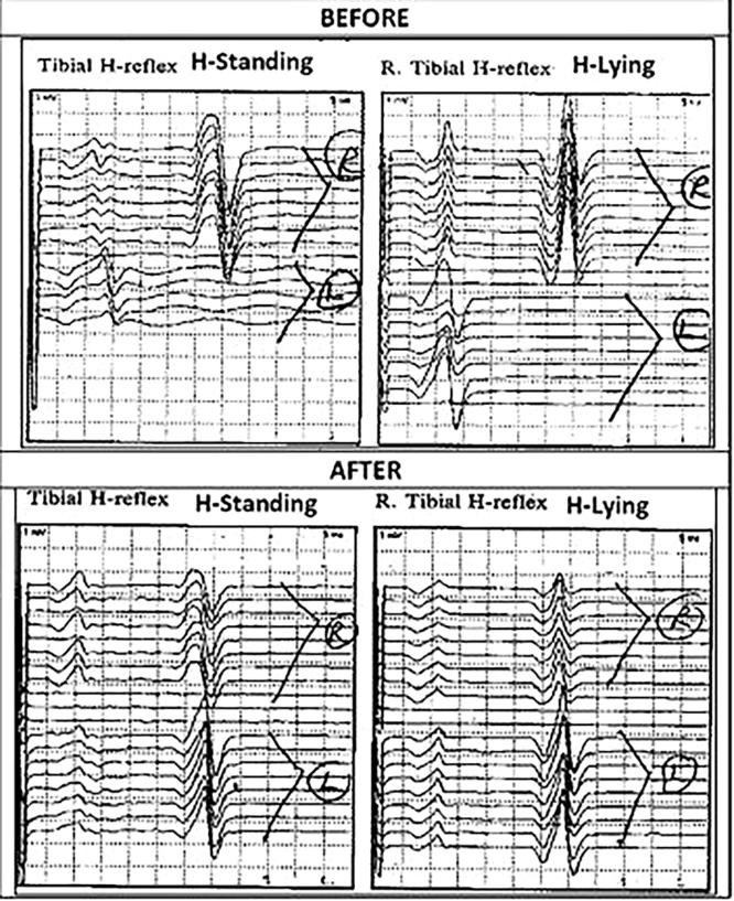 Fig. 5