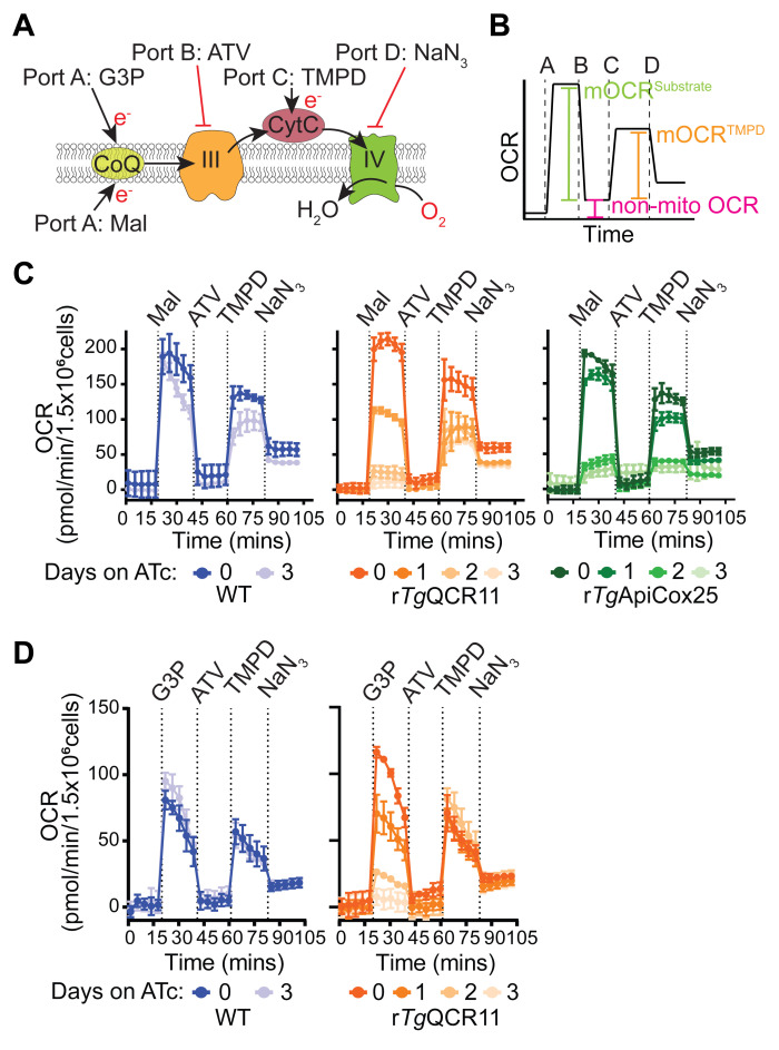 Figure 6.