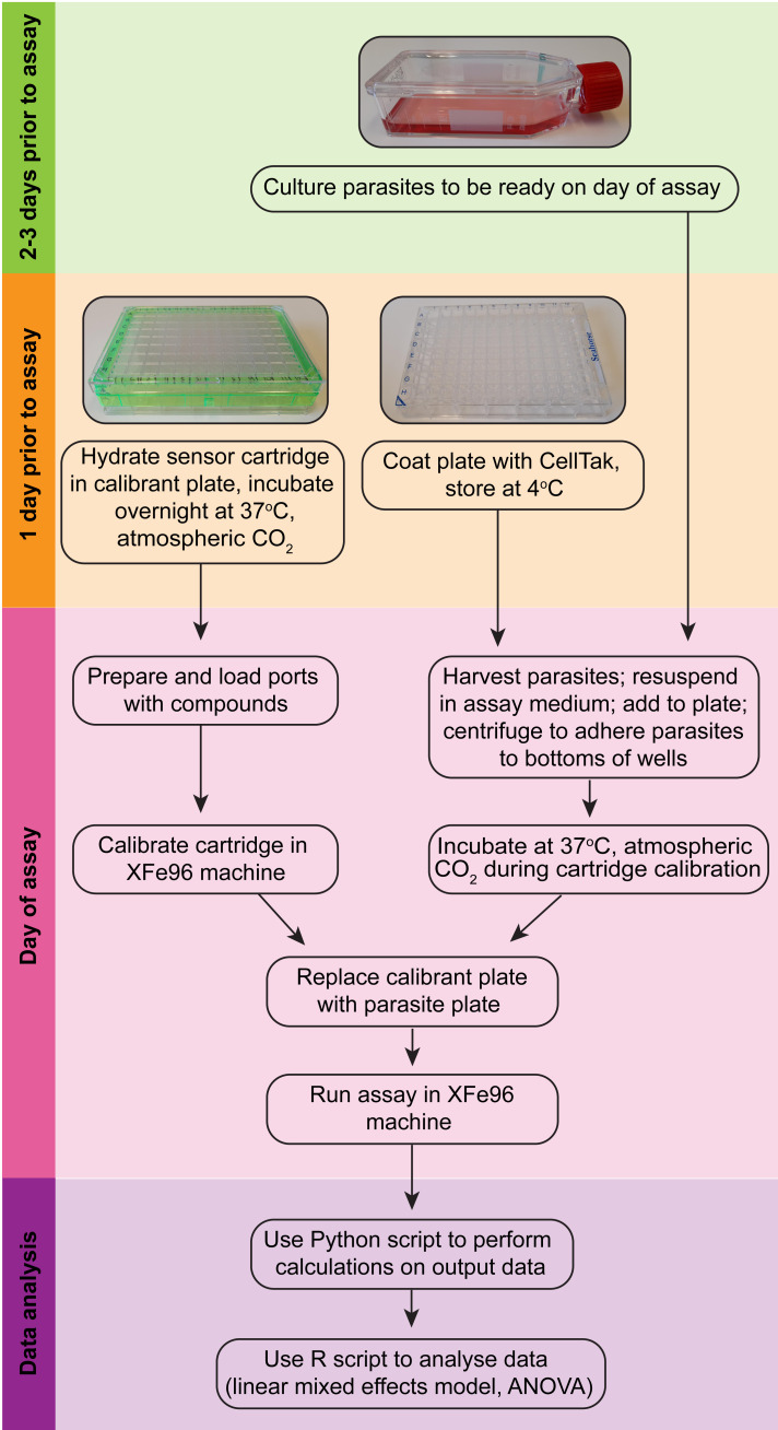 Figure 2.