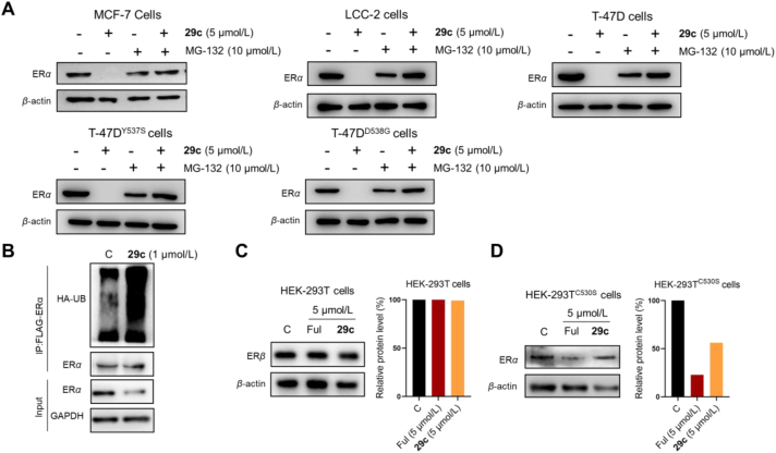 Figure 6