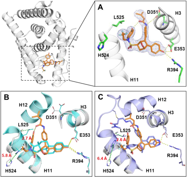 Figure 7