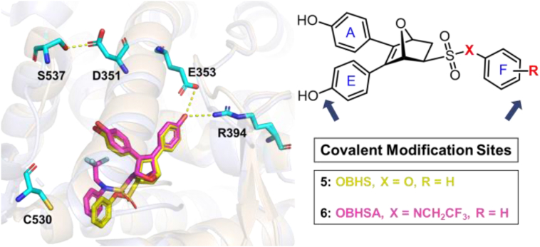 Figure 3