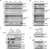 FIG 6