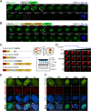 FIG 3