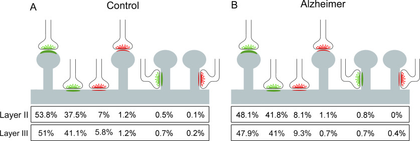 Figure 10.