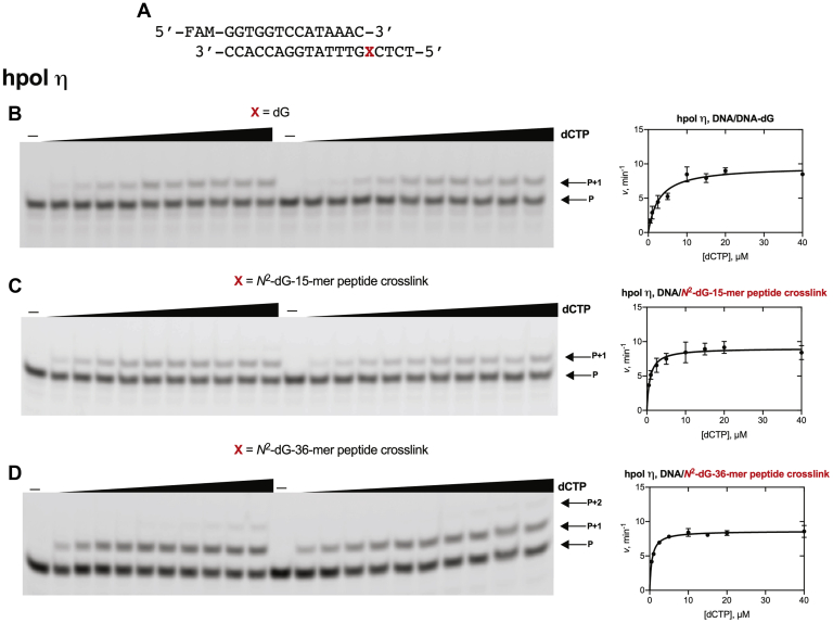 Figure 6