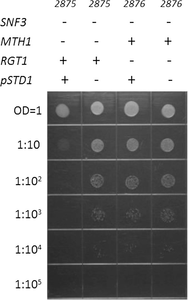 Figure 2