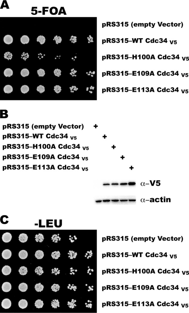 FIGURE 9.