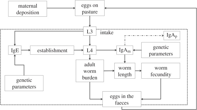 Figure 1.