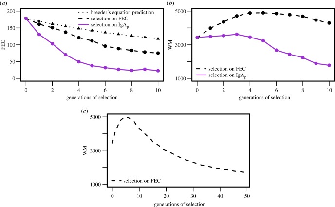 Figure 4.