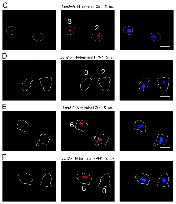 Figure 5