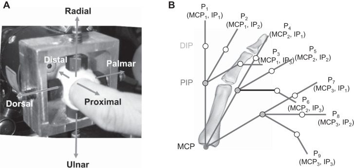 Fig. 1.