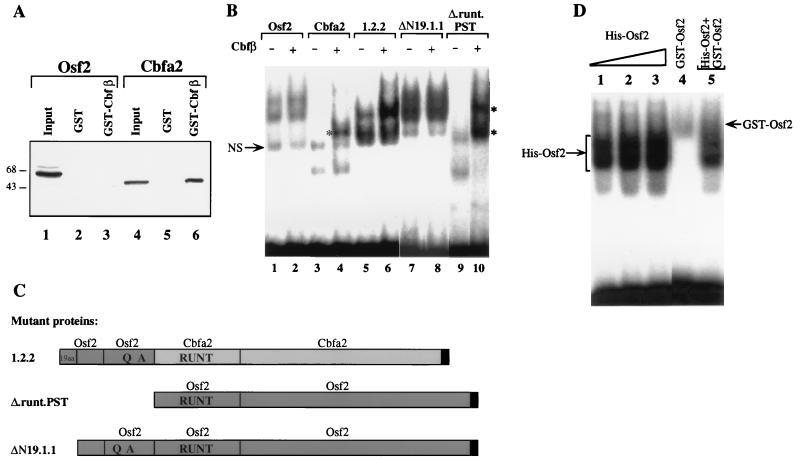 FIG. 7