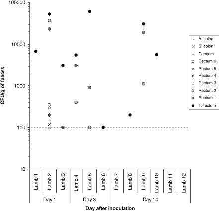 Figure 4.