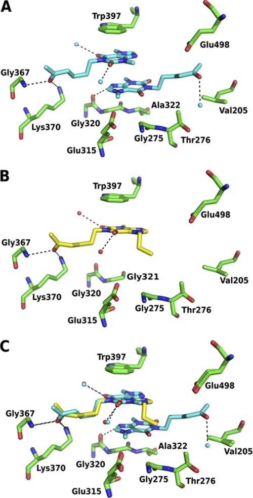 FIGURE 4.