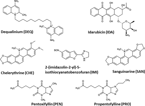 FIGURE 1.