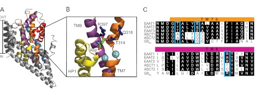 FIGURE 1.