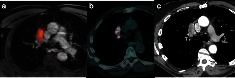 Fig. 6