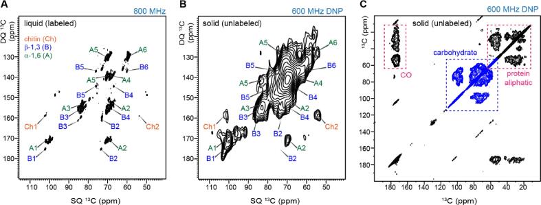 Fig. 3