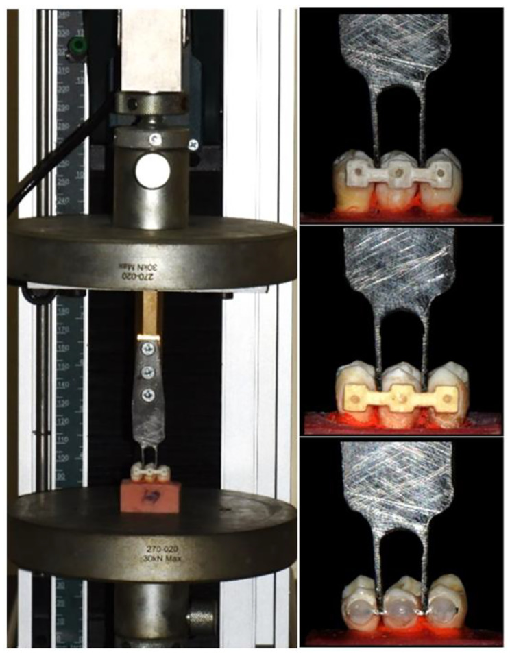 Fig. 7