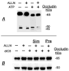 FIG. 9