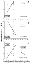 FIG. 12