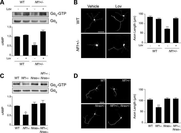 Figure 2.