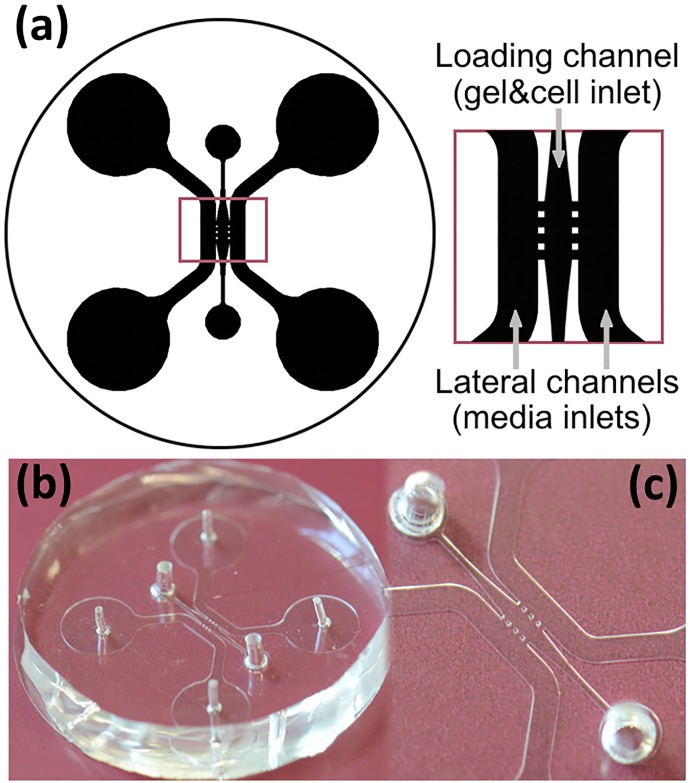 Fig 1