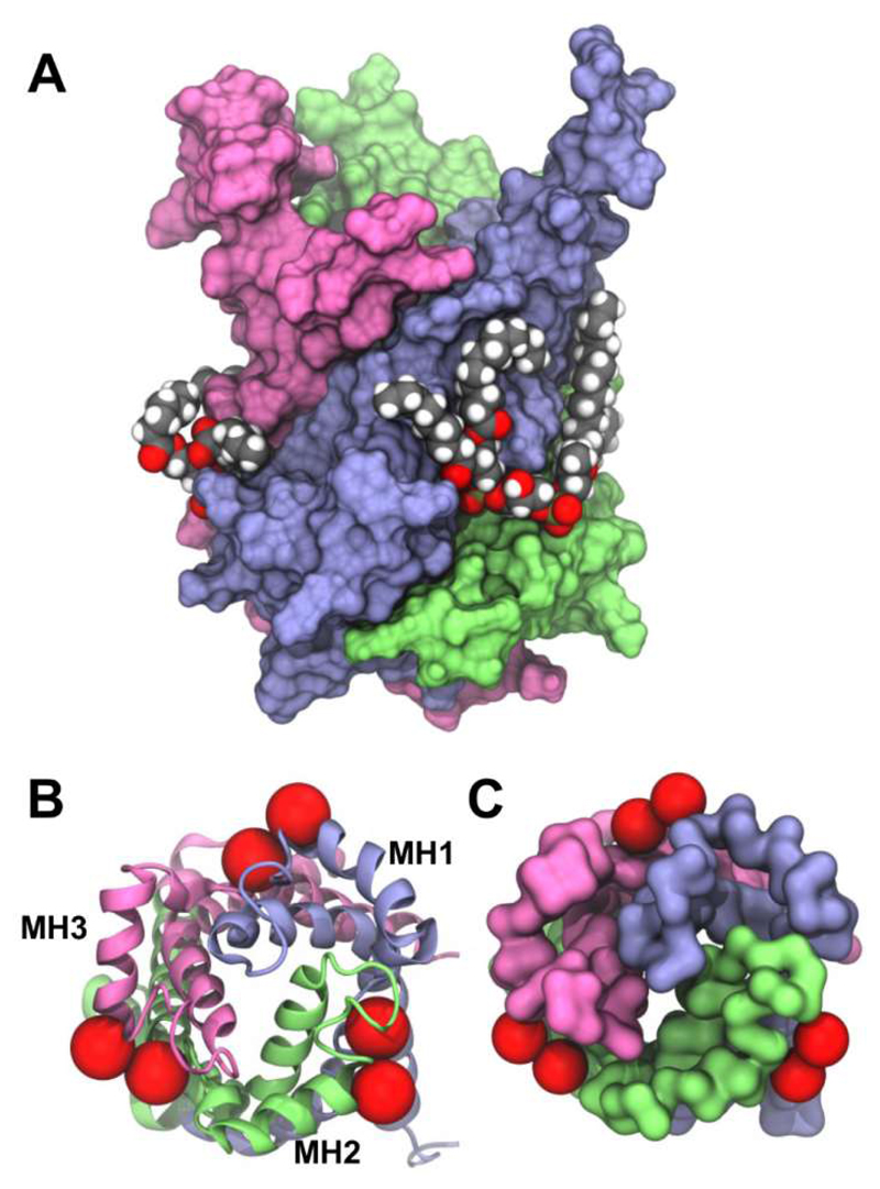 Figure 9