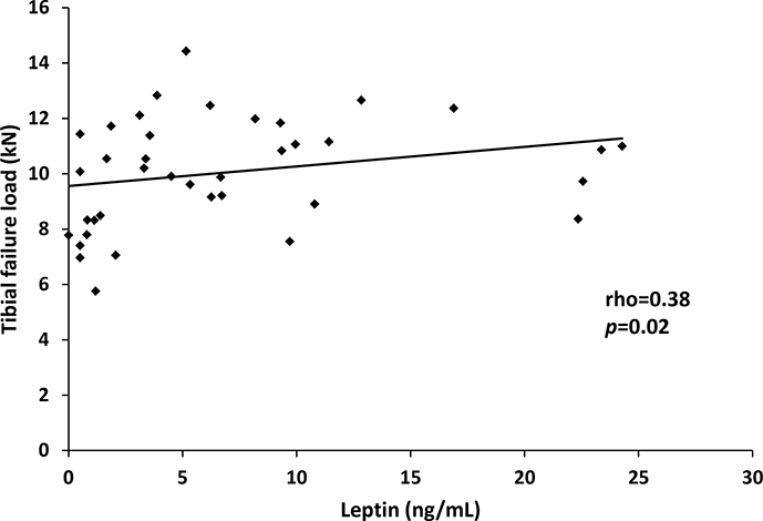 Figure 3: