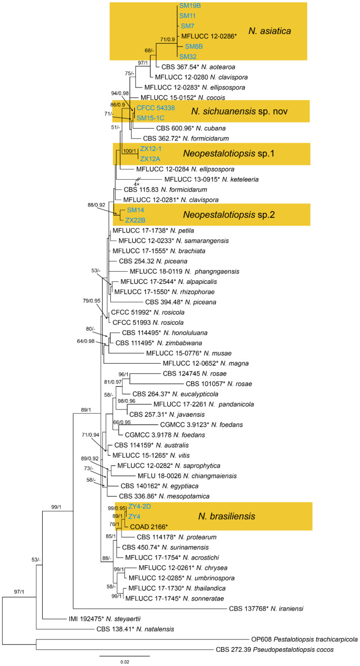 Figure 13