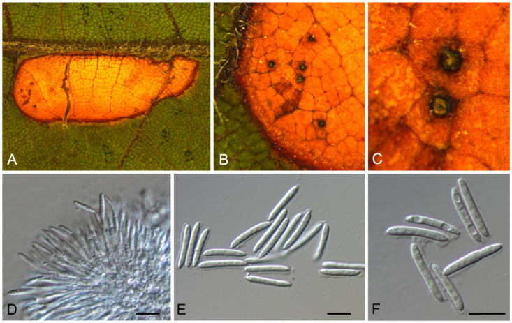 Figure 26