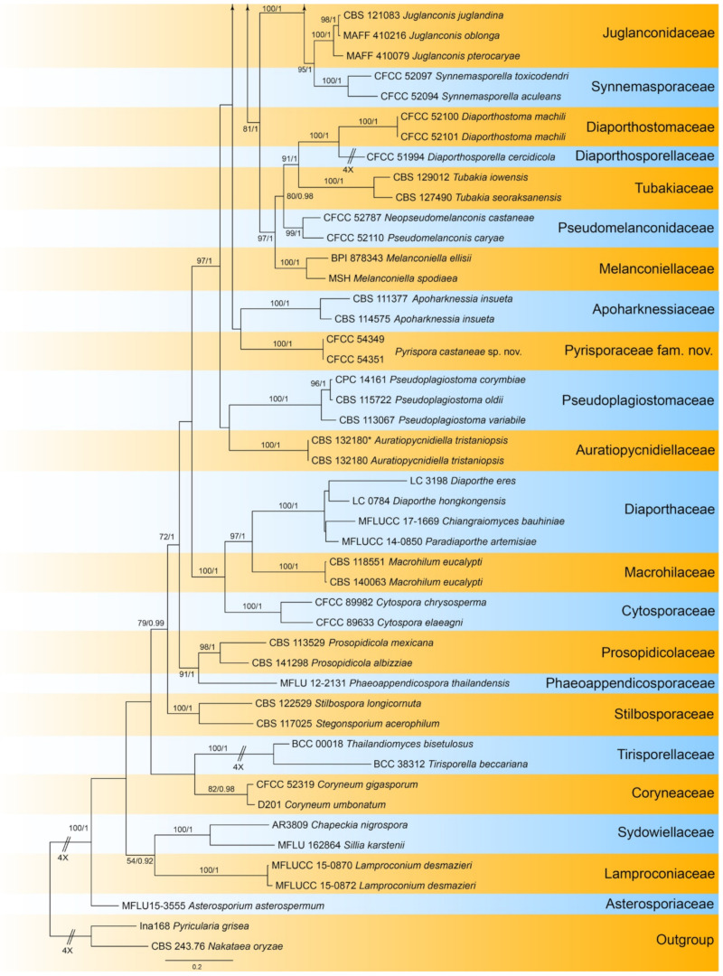 Figure 23