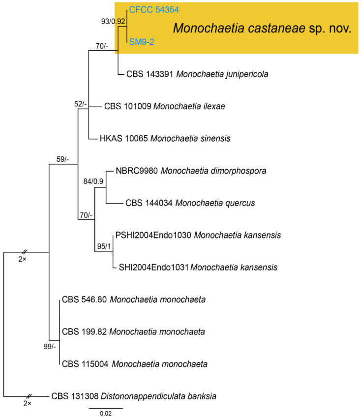 Figure 11