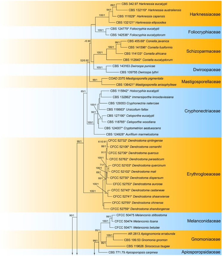 Figure 23