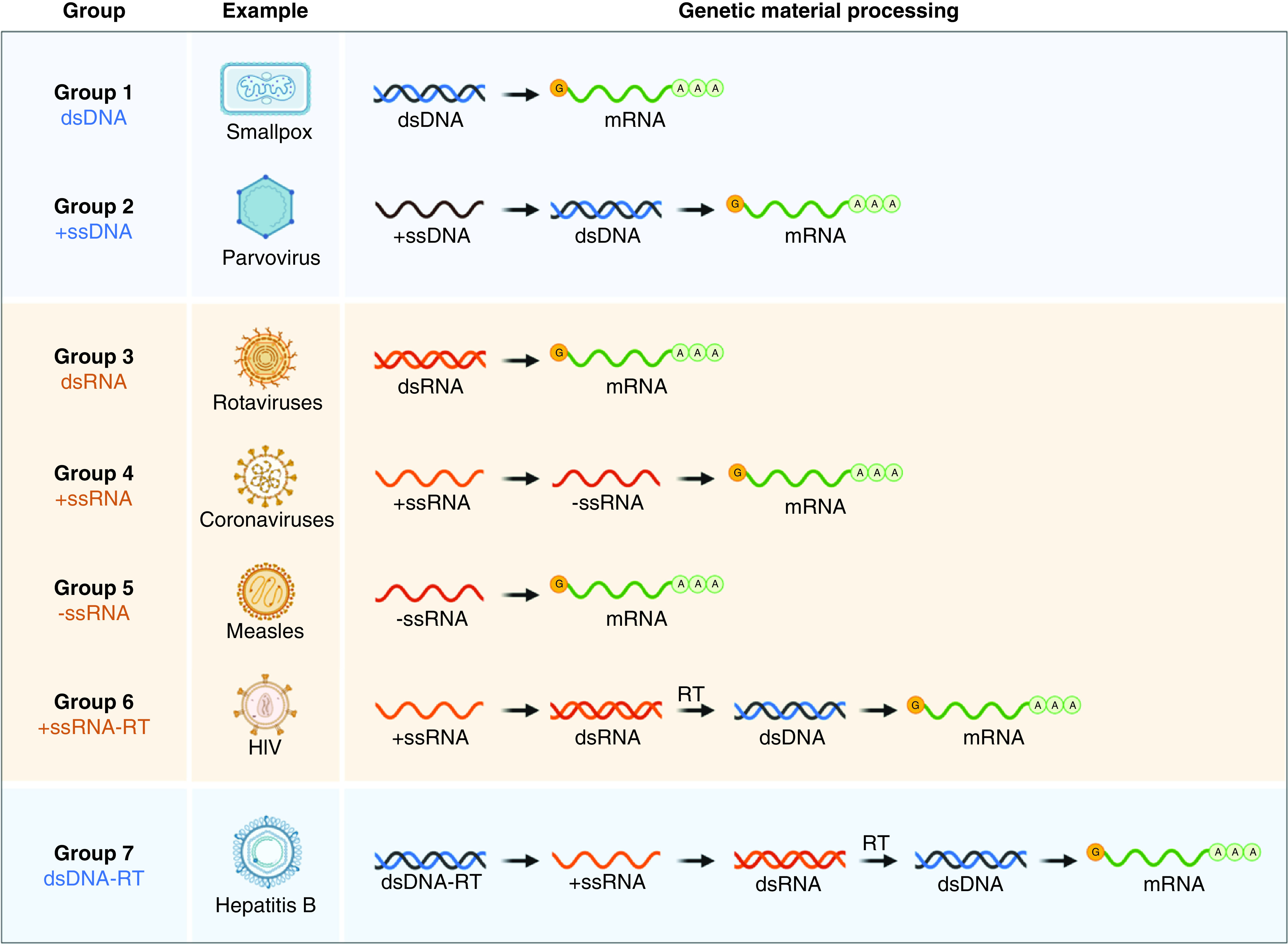 Figure 3. 