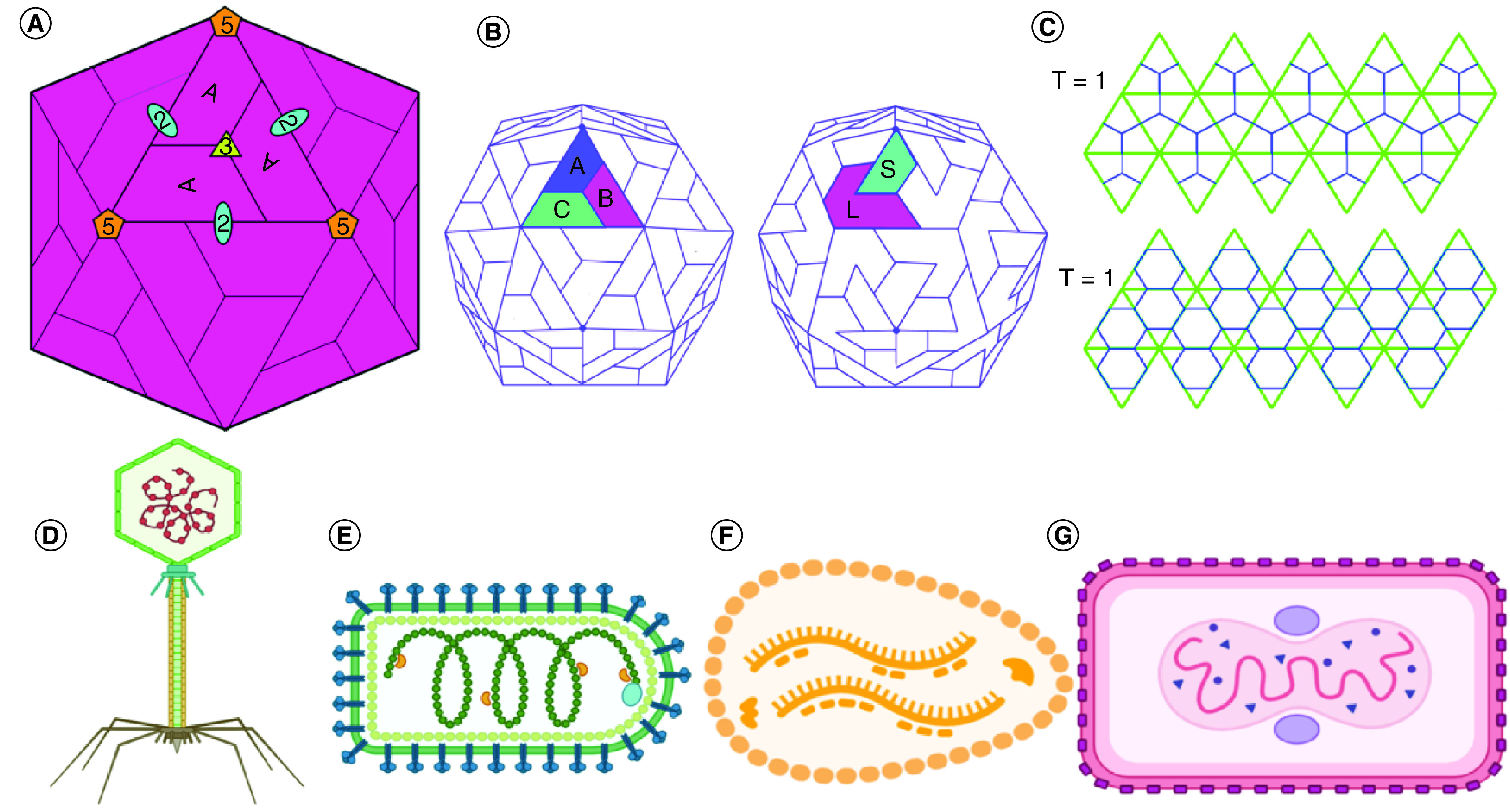 Figure 2. 