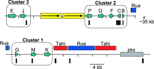 FIG. 1.