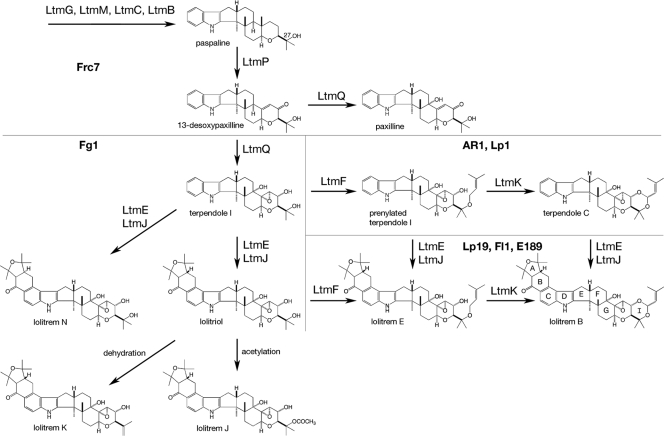 FIG. 6.