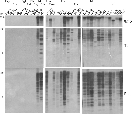 FIG. 3.