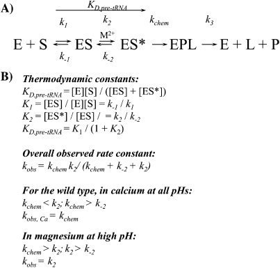 SCHEME 1.