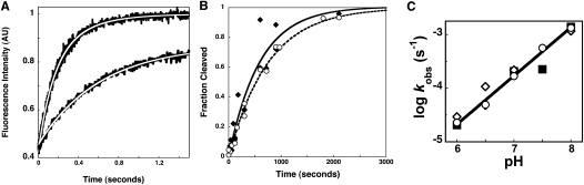 FIGURE 4.