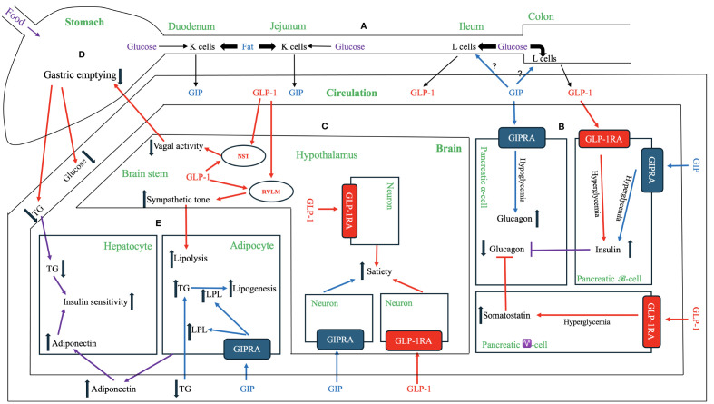 Figure 1