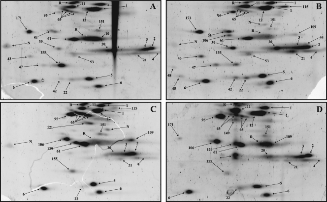 Fig. 8.