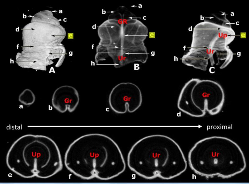 Figure 10