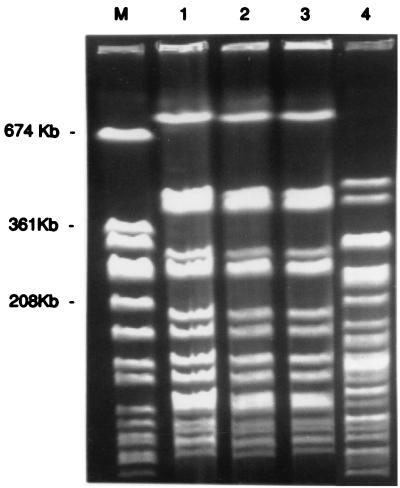 FIG. 1