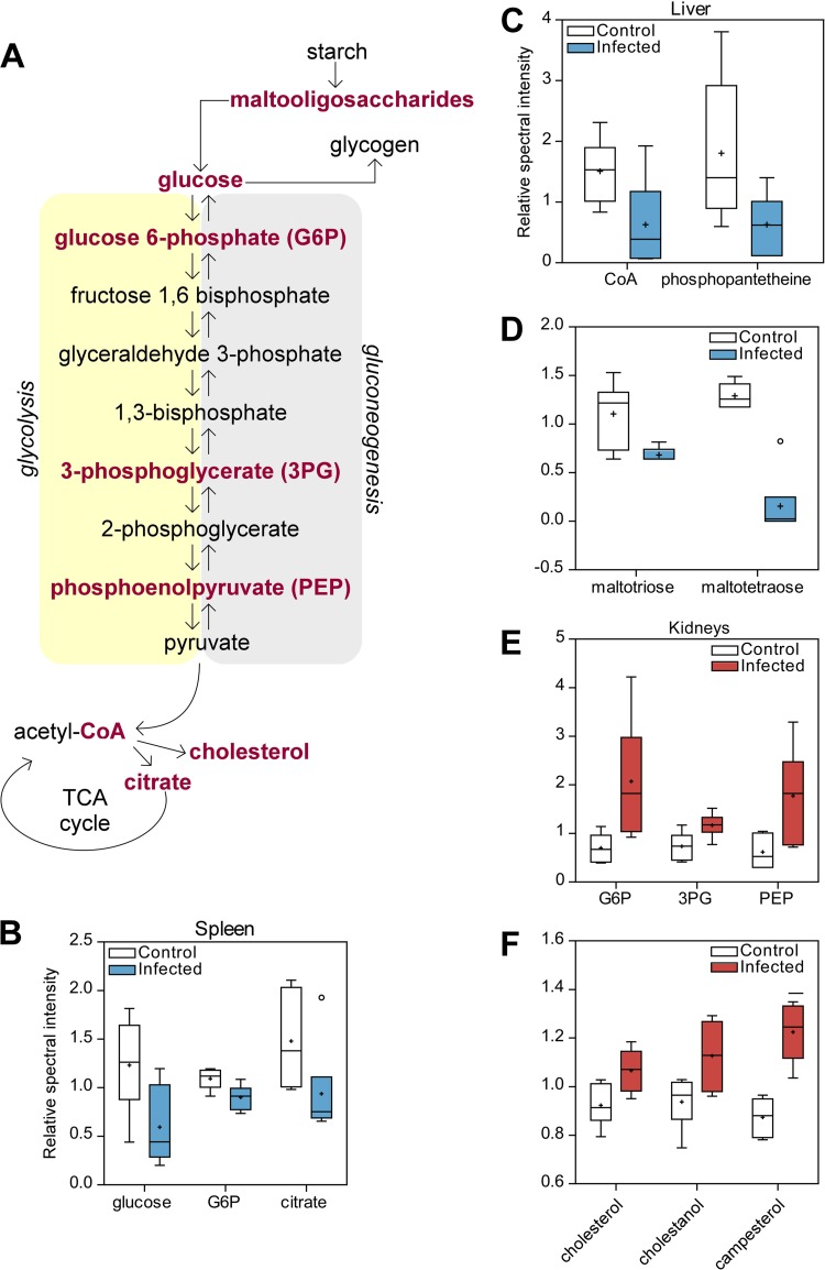 FIG 6