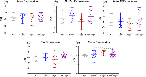 Deficiency of decorin or biglycan led to minimal changes in aged tendon gene expression. No differences in expression were observed across genotypes for Acan (a), Col2a1 (b), Mmp13 (c), or Eln (d). I-Bgn−/− tendons had trending increases in Fmod expression (e). Dotted lines denote p ≤ 0.1.